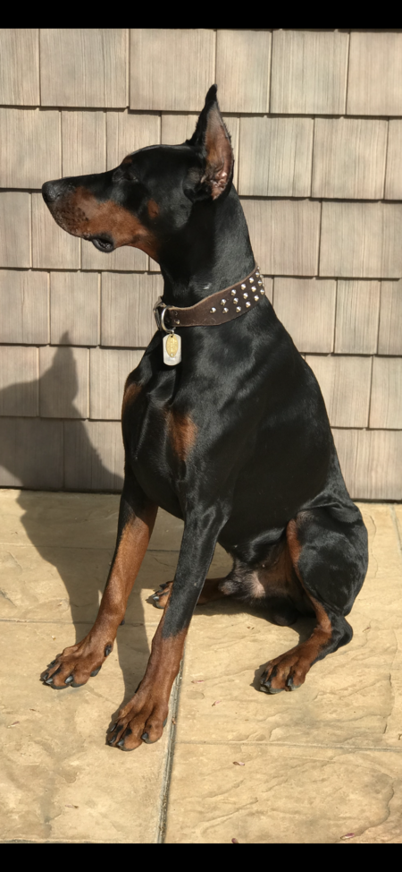 Oskar
