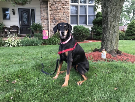 Della