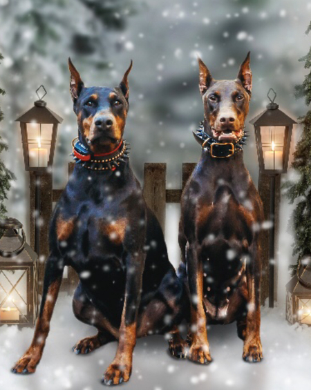 Korra & Suki