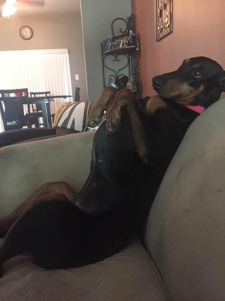 Bella