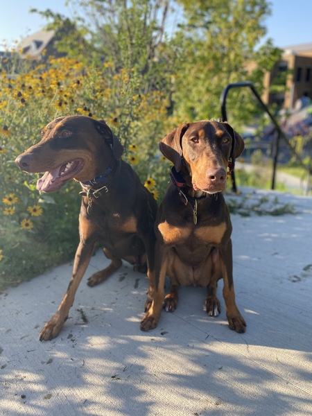 Sabine and Griffon 