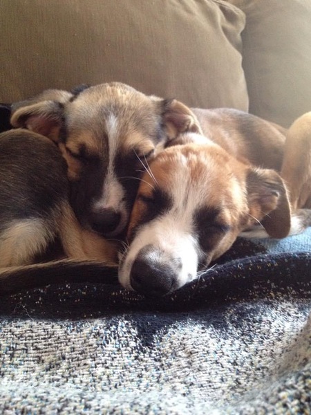 Daisy and Emma