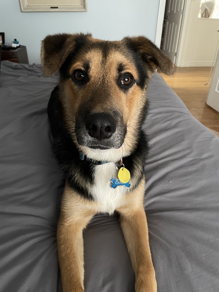 Carlo