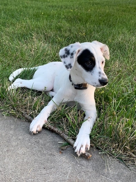 TeeCee Grace (Patches)