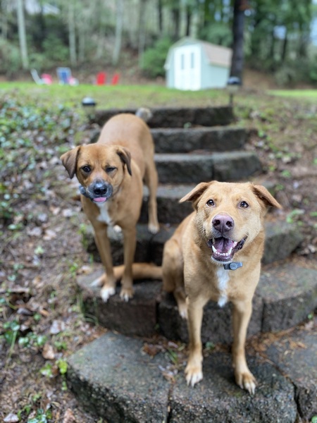 Skippah (left) Sailor (right)