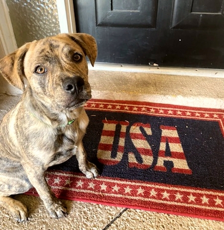 Oakley