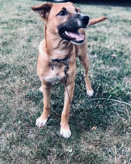 Rupert