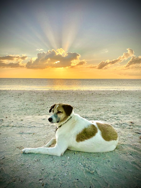 Duke