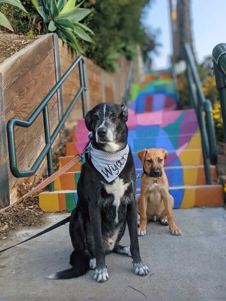 Wyatt & Sawyer