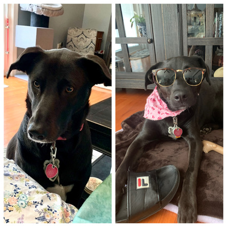 Harper and Olive 