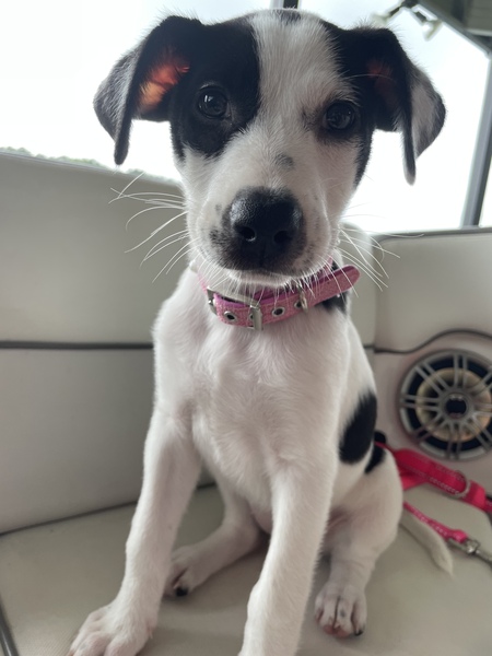 Isla Grace
