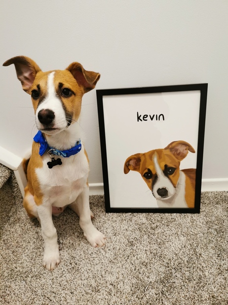 Kevin