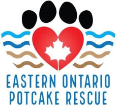 Eastern Ontario Potcake Rescue