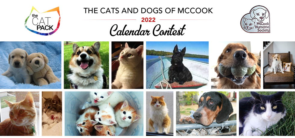 Homepage McCook Humane Society The Cats And Dogs Of McCook Calendar Homepage McCook Humane Society The Cats And Dogs Of McCook Calendar