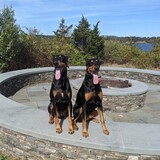 Entry image for Seeley and Rosie