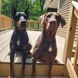 Entry image for Rhianna and Duke