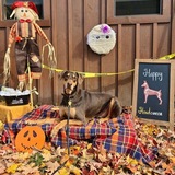 Entry image for Anthony