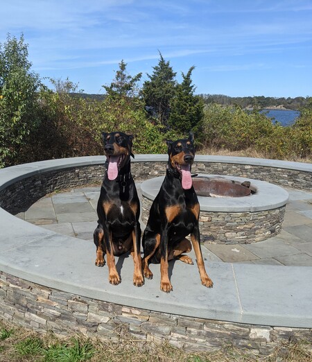 Entry image for Seeley and Rosie. Clicking this image will show a larger photo