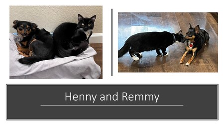 Henny  and Remmy 