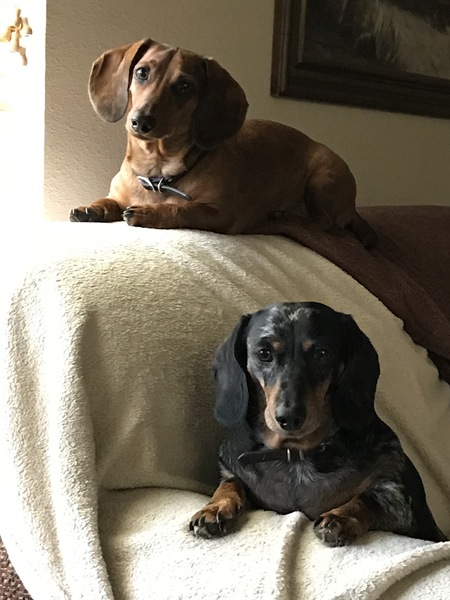 Rusty and Sophie