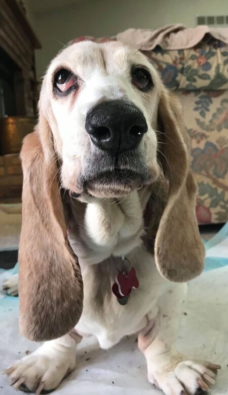 Daisy May