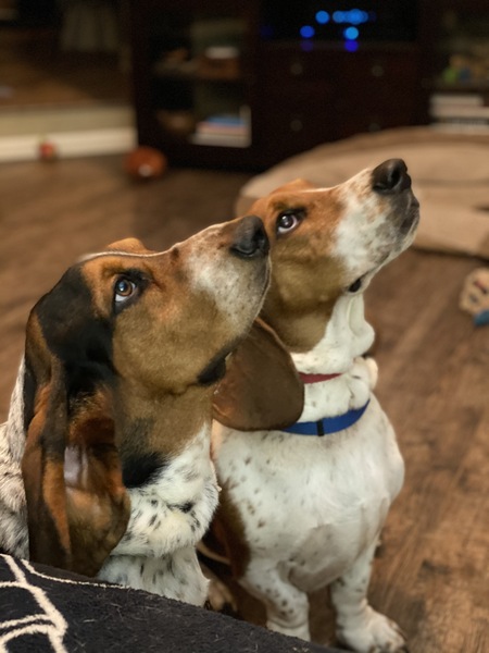 Moses and Otis Lee