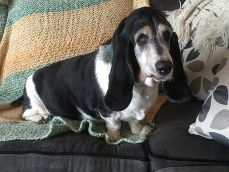 Lulu