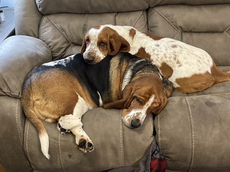 Bernie and Alfie