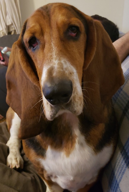Buford