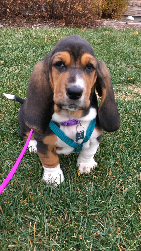 Lucy 