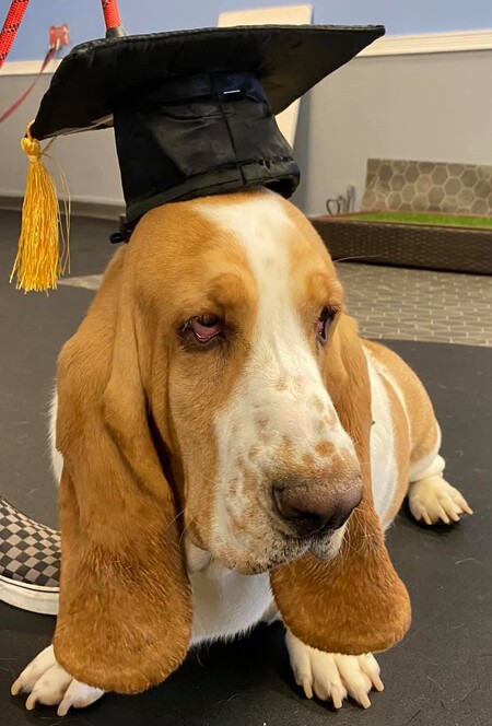 Gunner,  the Magna Cum Laude Graduate