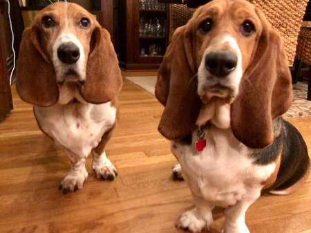 Max & Laverne