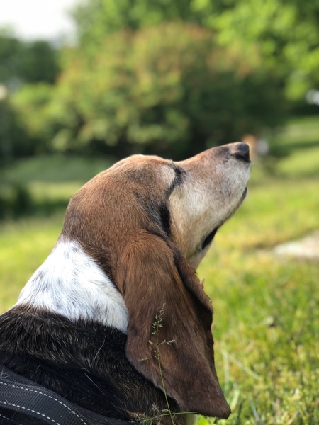 Winnie