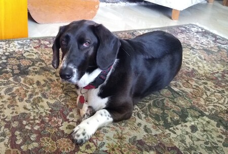 Ramone