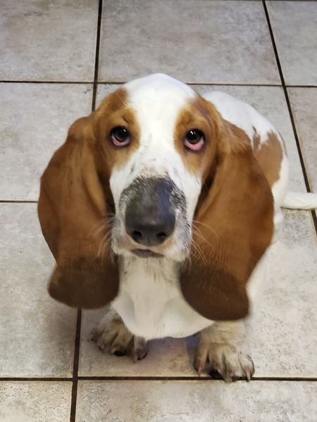 Sophie 