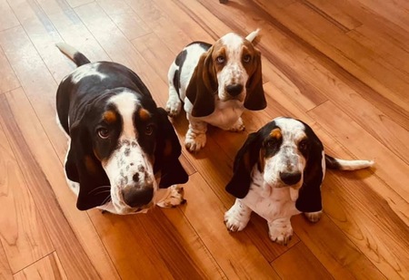 Murphy, Frank & Winston