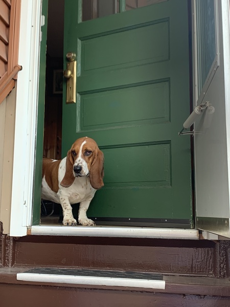 Penny
