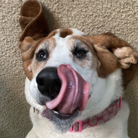 Minnie