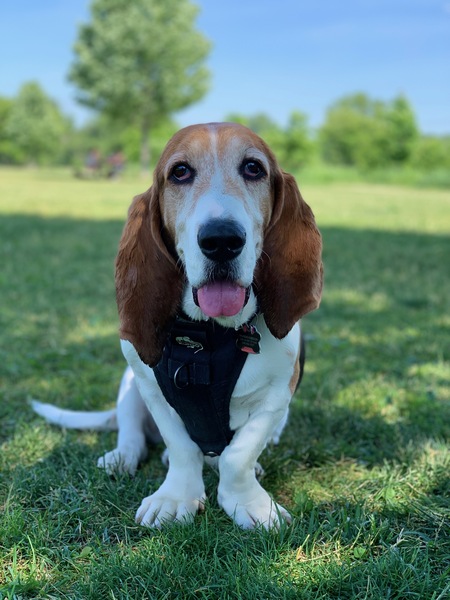Gus