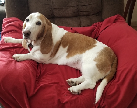 Maggie