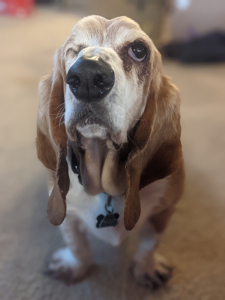 Tucker