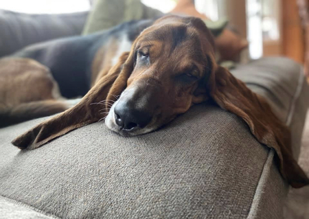 Cooper