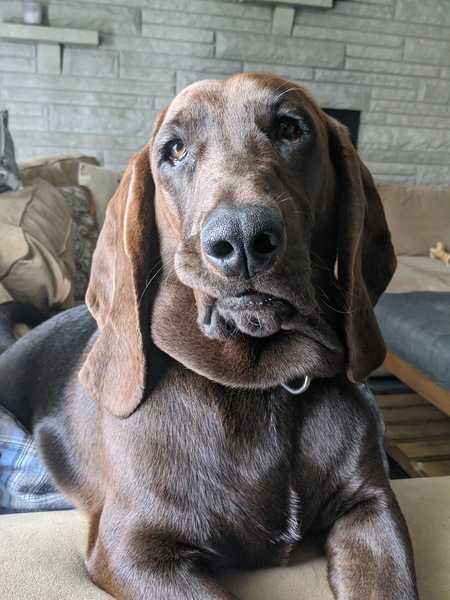 Whiskey