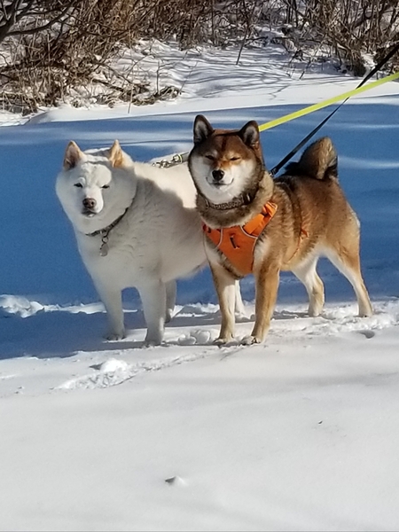 Hana & Bryn