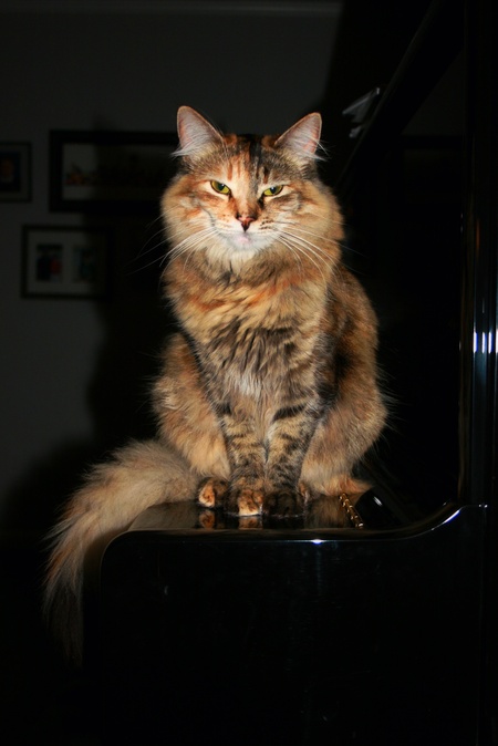 Annie