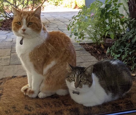 Jasper and Samantha