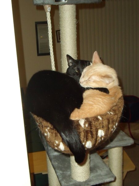 Squeaky and Jackie