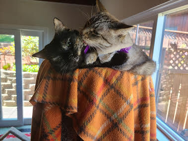 Mela and Lenny
