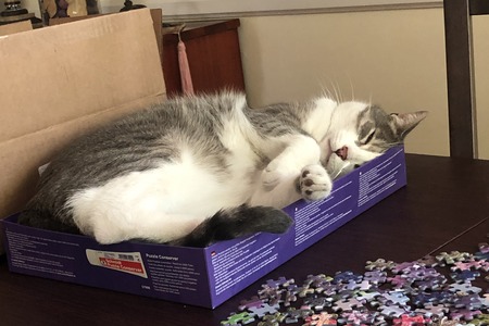 Oliver