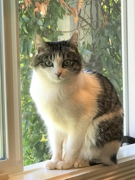 Bella